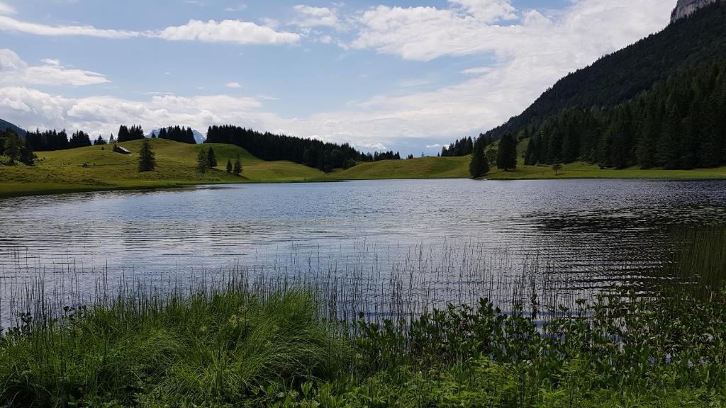 Příroda nedaleko apartmánu