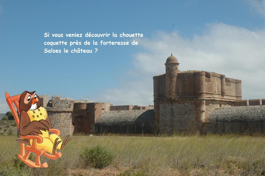 une photo d'un vieux château avec une dinde de dessinée dans l'établissement Chouette coquette, à Salses-le-Chateau