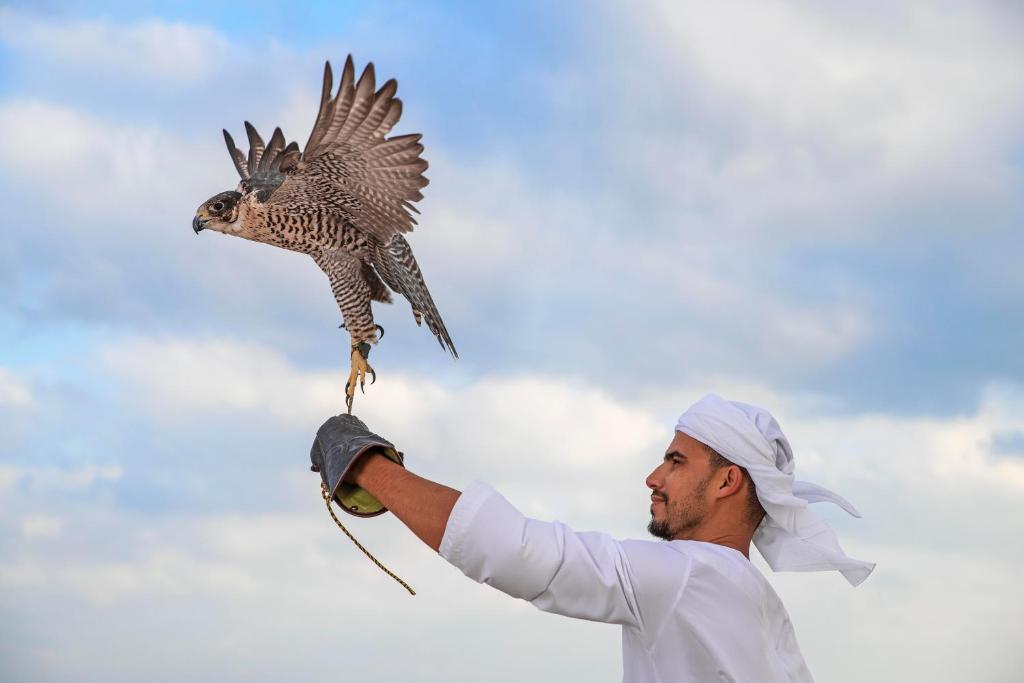Hosté ubytování Anantara Sir Bani Yas Island Al Sahel Villas