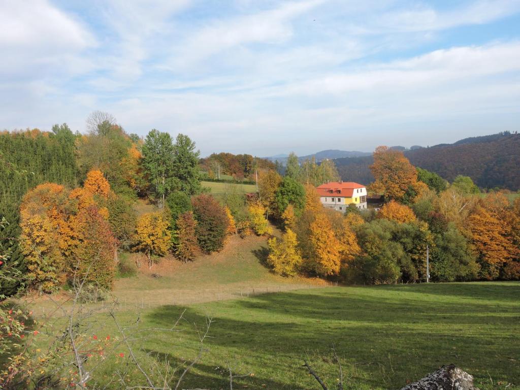 Příroda nedaleko apartmánu