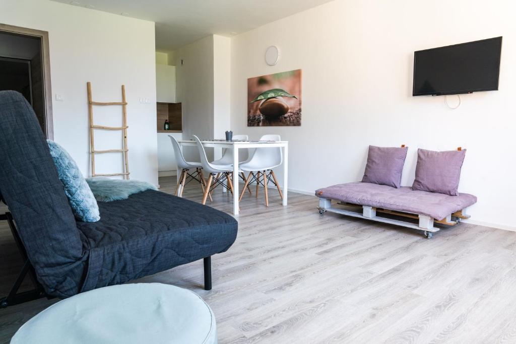 TV a/nebo společenská místnost v ubytování Apartmaji Triglav