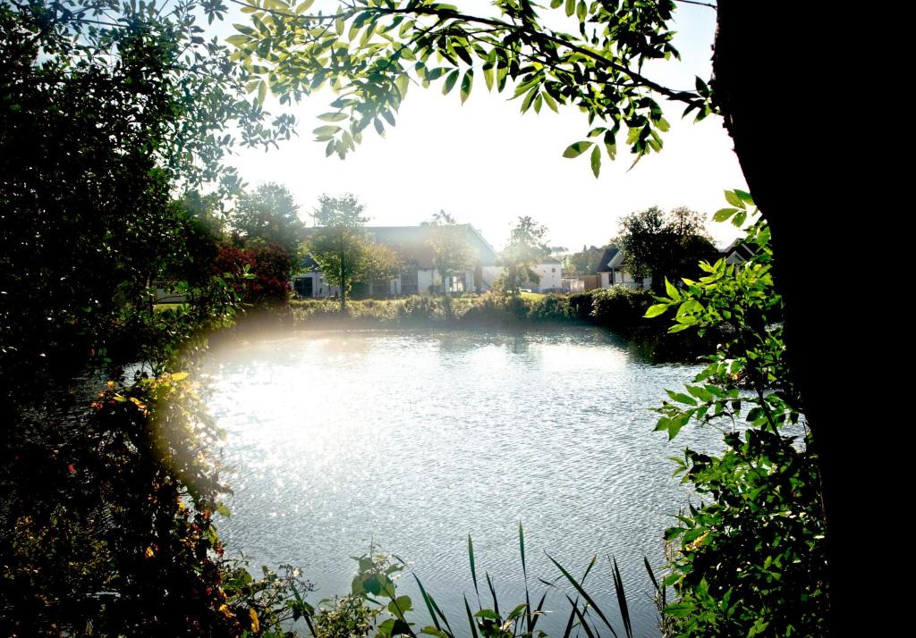 uitzicht op een vijver met bomen bij Spirit of Hven Backafallsbyn in Sankt Ibb