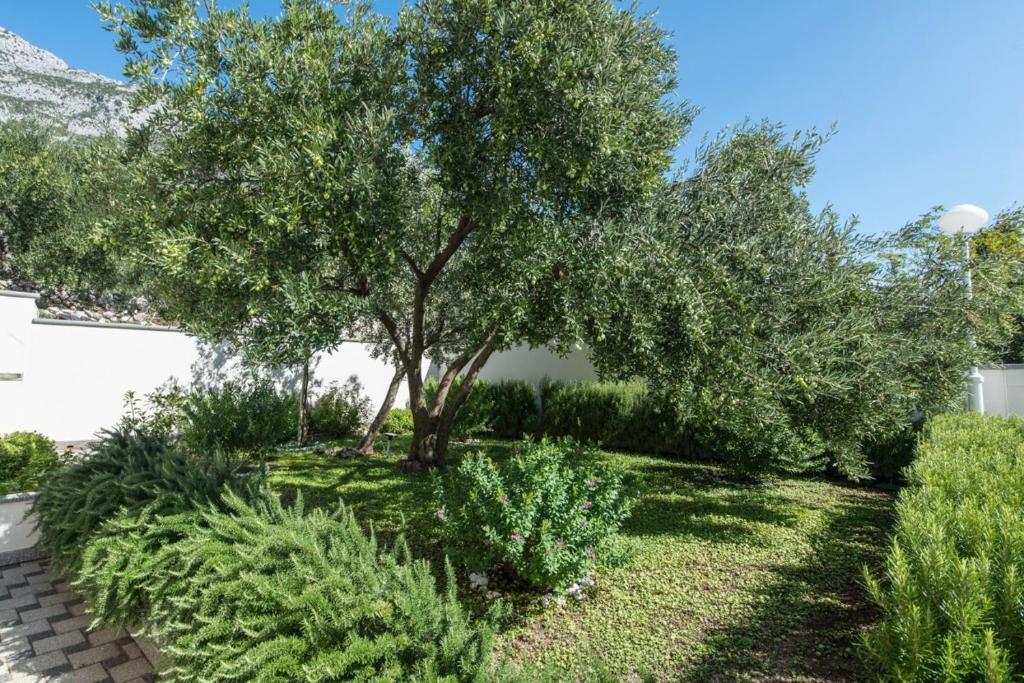 Vonkajšia záhrada v ubytovaní Naša Kuća Bed & Breakfast - Adults Only