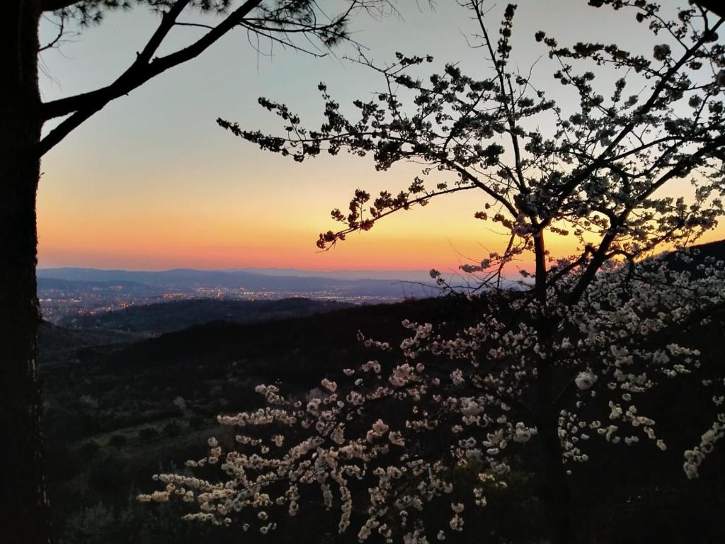Príroda v okolí vily