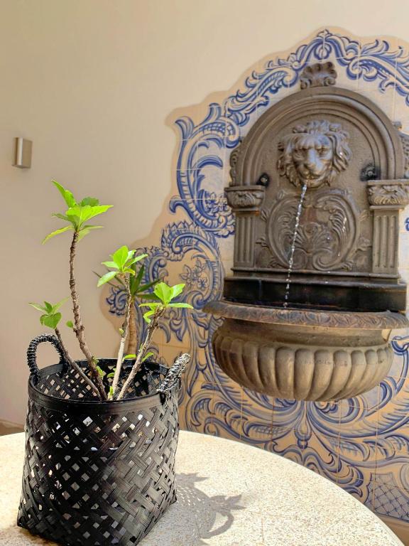 a fountain in a room with a potted plant at Residence Lagos in Lagos