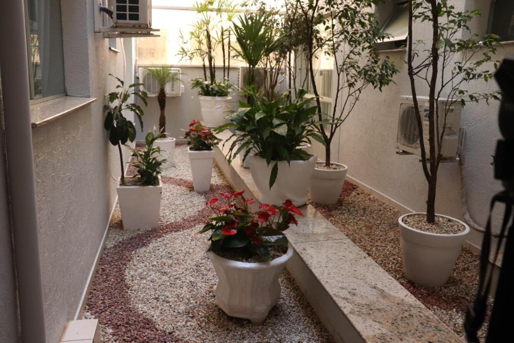  Hotel São Vicente