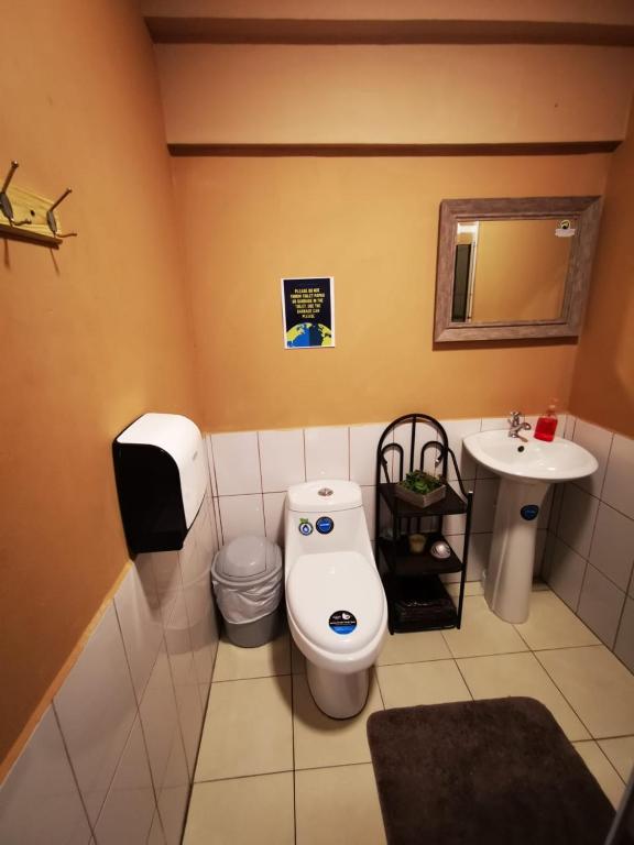 Koupelna v ubytování Toucan Hostel