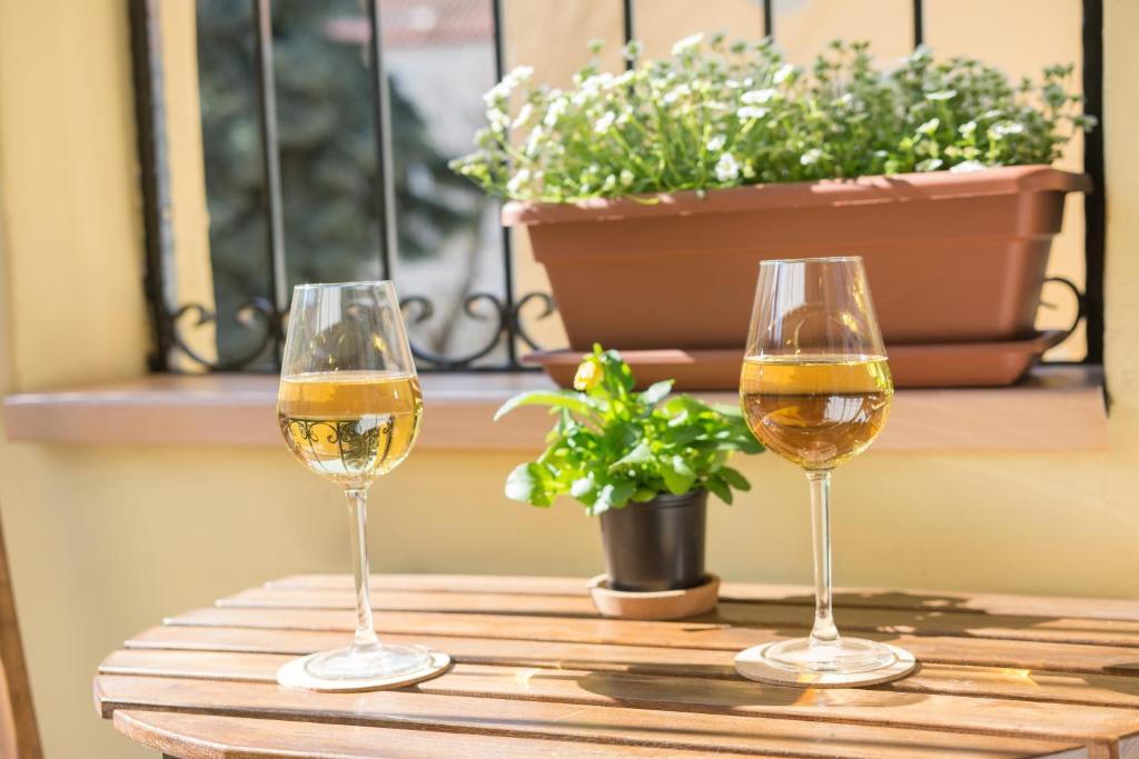 Nápoje v ubytovaní Cork Apartman