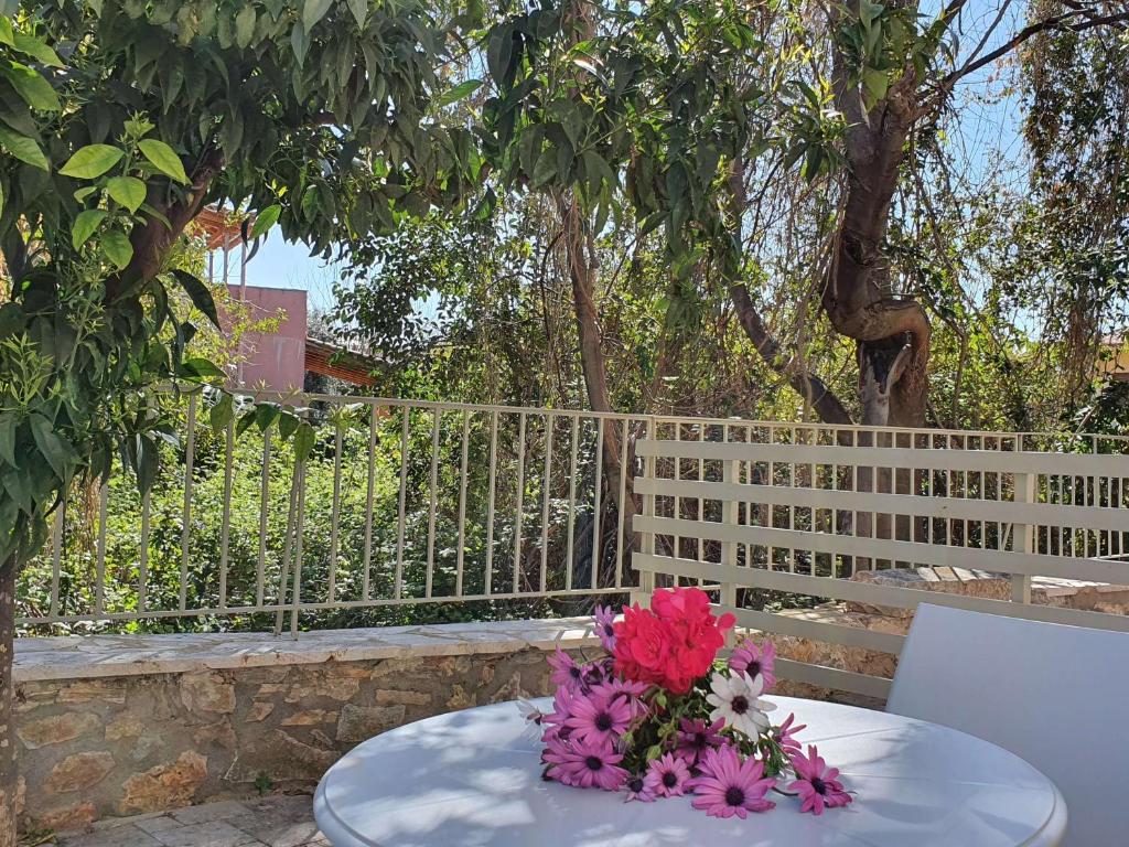 Zahrada ubytování Tasos Rooms