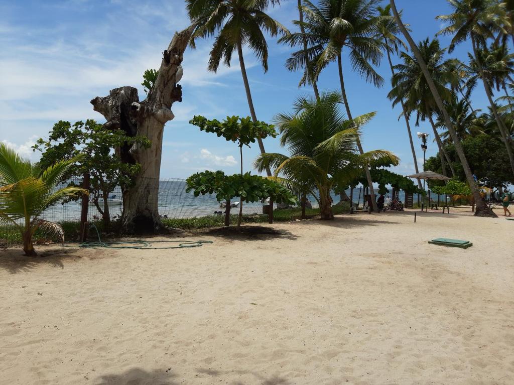  Flat Praia dos Carneiros