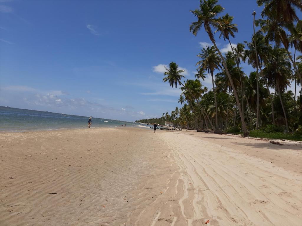  Flat Praia dos Carneiros