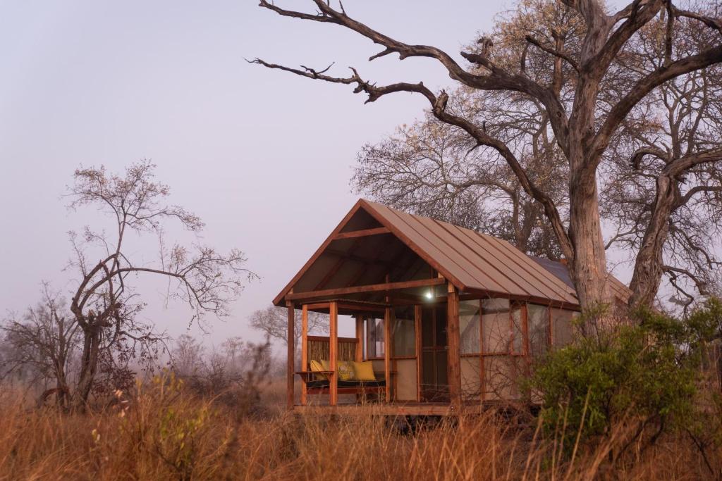 a small house in the middle of a field at Buffelshoek Tented Camp in Manyeleti Game Reserve