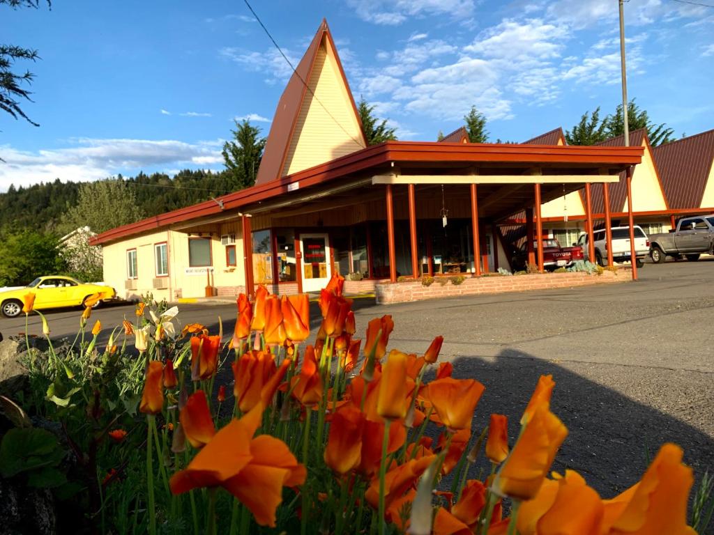 eine Gruppe orangefarbener Blumen vor einem Gebäude in der Unterkunft The Ranch Motel in Oakland