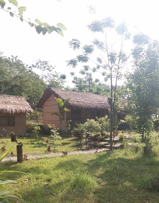Zahrada ubytování Chital lodge