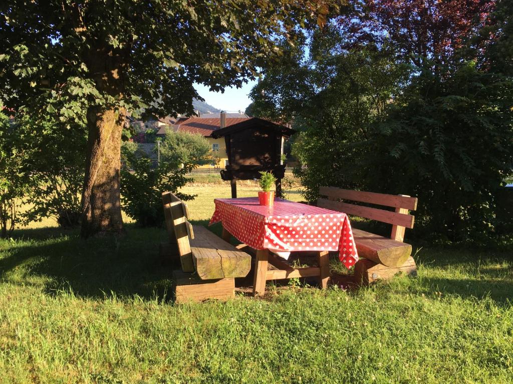 Zahrada ubytování Appartements Prunner