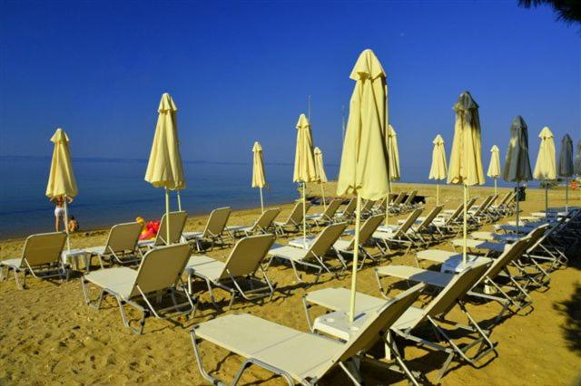 a bunch of chairs and umbrellas on a beach at Villa Sithonia in Metamorfosi