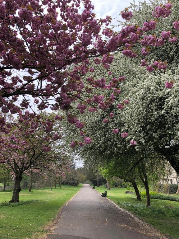 Lancaster Hall Hotel - Resim 34