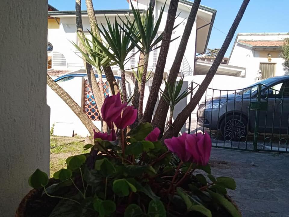 Ogród w obiekcie Florinda B&B Viareggio