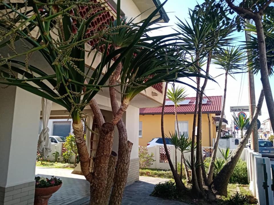 Ogród w obiekcie Florinda B&B Viareggio