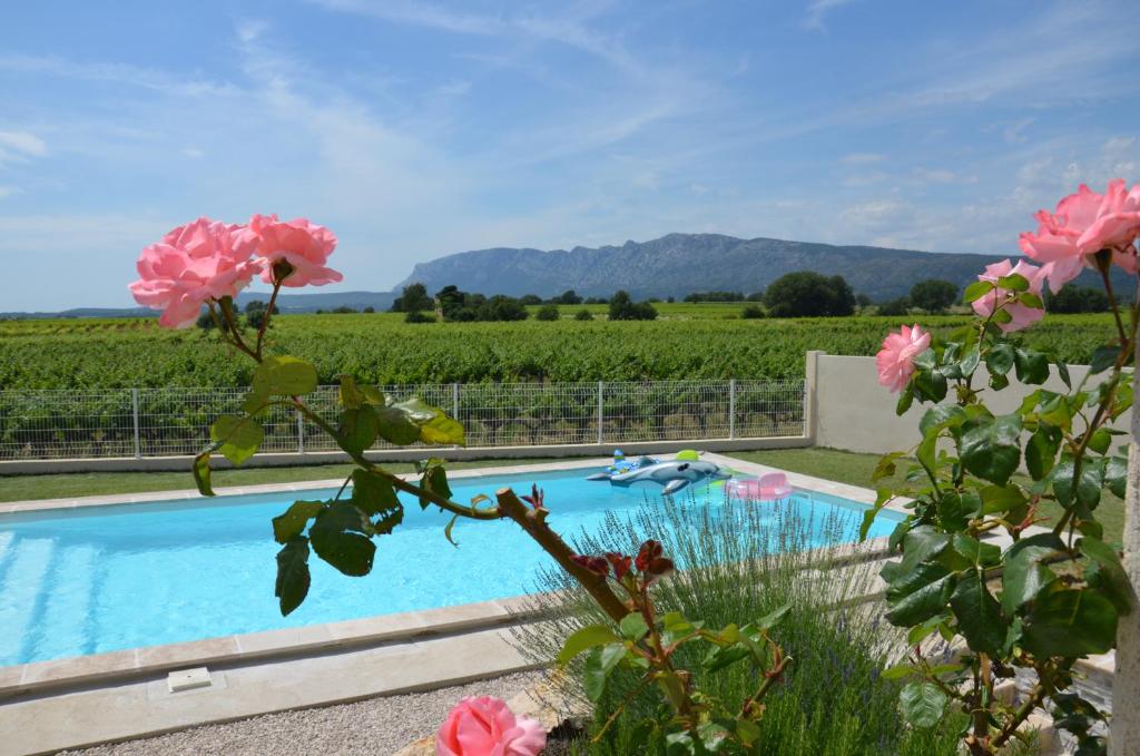 einen Pool mit Blick auf einen Weinberg und rosa Blumen in der Unterkunft Vue Sainte Victoire, proche Aix-en-Provence in Pourrières