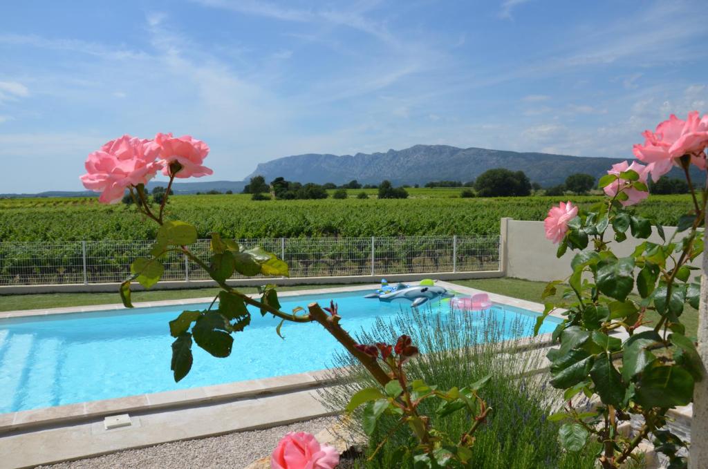 uma piscina com vista para uma vinha e flores cor-de-rosa em Vue Sainte Victoire, proche Aix-en-Provence em Pourrières