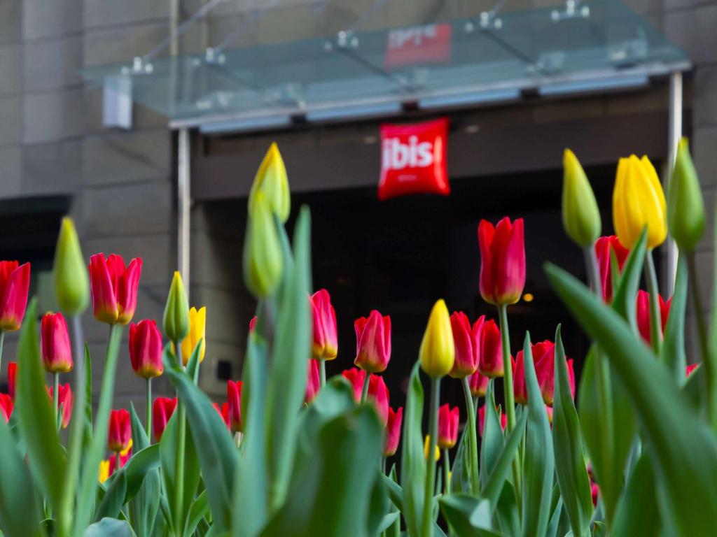 a bunch of red and yellow tulips in front of a piano at Ibis Moscow Centre Bakhrushina in Moscow