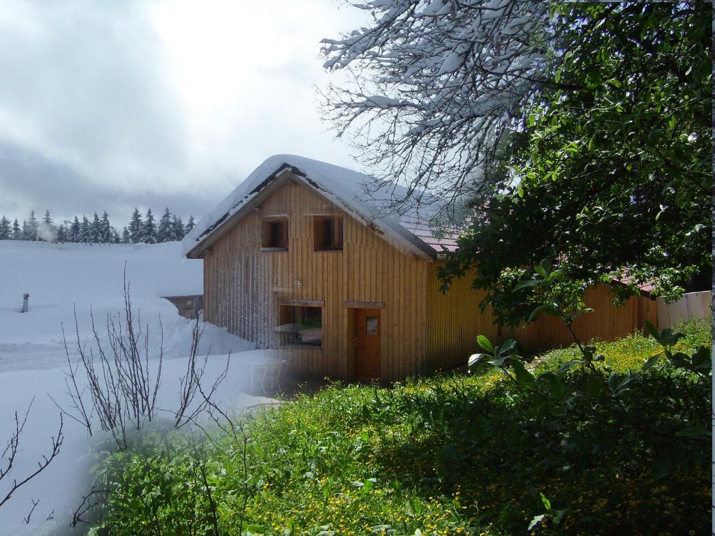 Gite du Brin d'Herbe في بونتارليه: كابينة خشبية في الثلج مع ثلج على الأرض