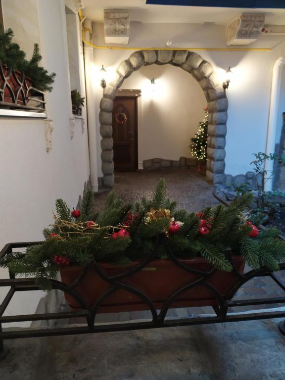 リヴィウにあるRynOK 25 Deluxe Lviv Centerの廊下のクリスマス装飾の植木工