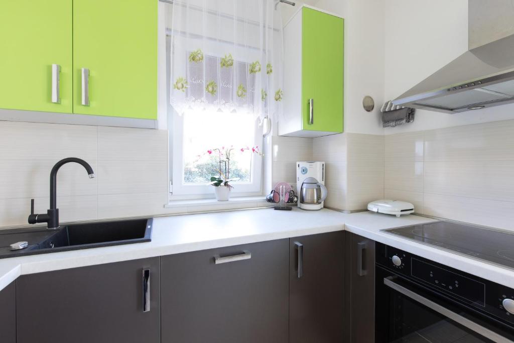 Kuchyň nebo kuchyňský kout v ubytování Holiday home Biondic