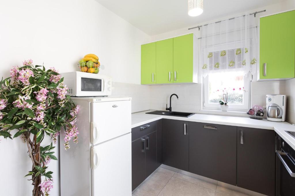 Kuchyň nebo kuchyňský kout v ubytování Holiday home Biondic