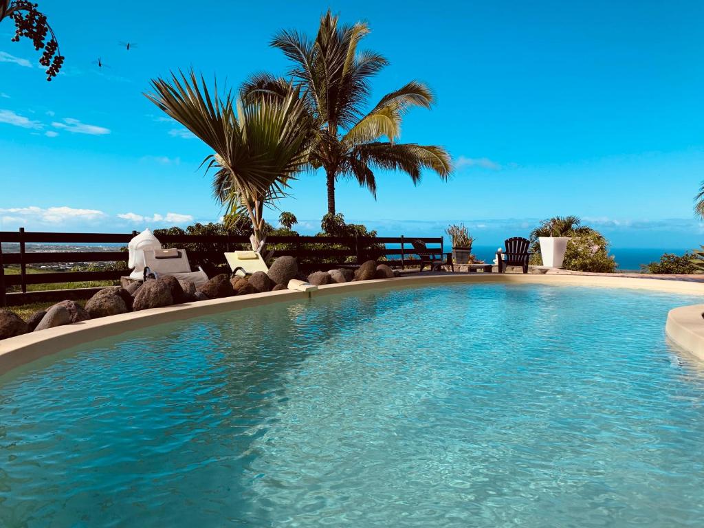 einen Pool mit Palmen und dem Meer in der Unterkunft Gîte Paradis Lé La in L’Étang-Salé