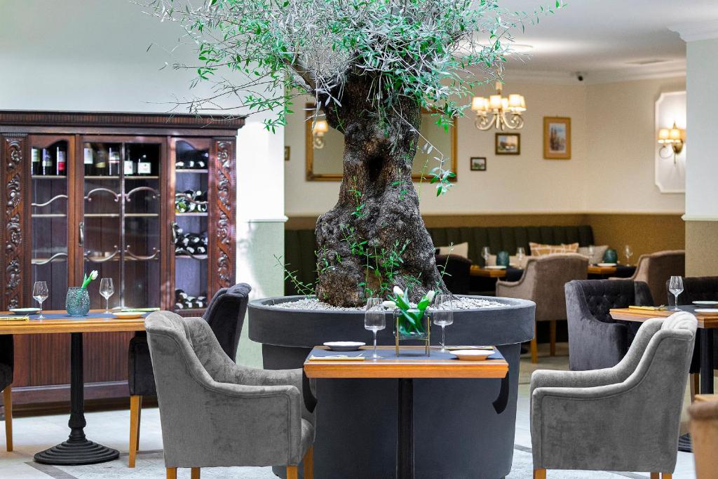 Nápoje v ubytování Ventus Rosa Boutique Aparthotel