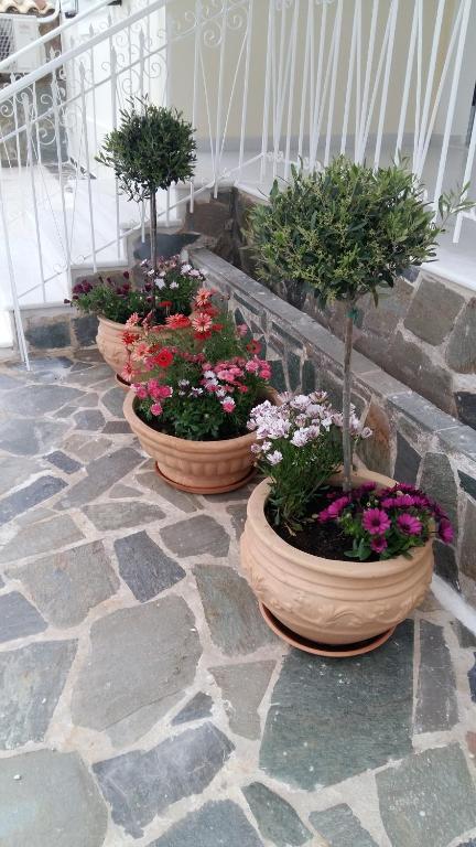 NN Spata Rooms & Suites near Athens airport - 6