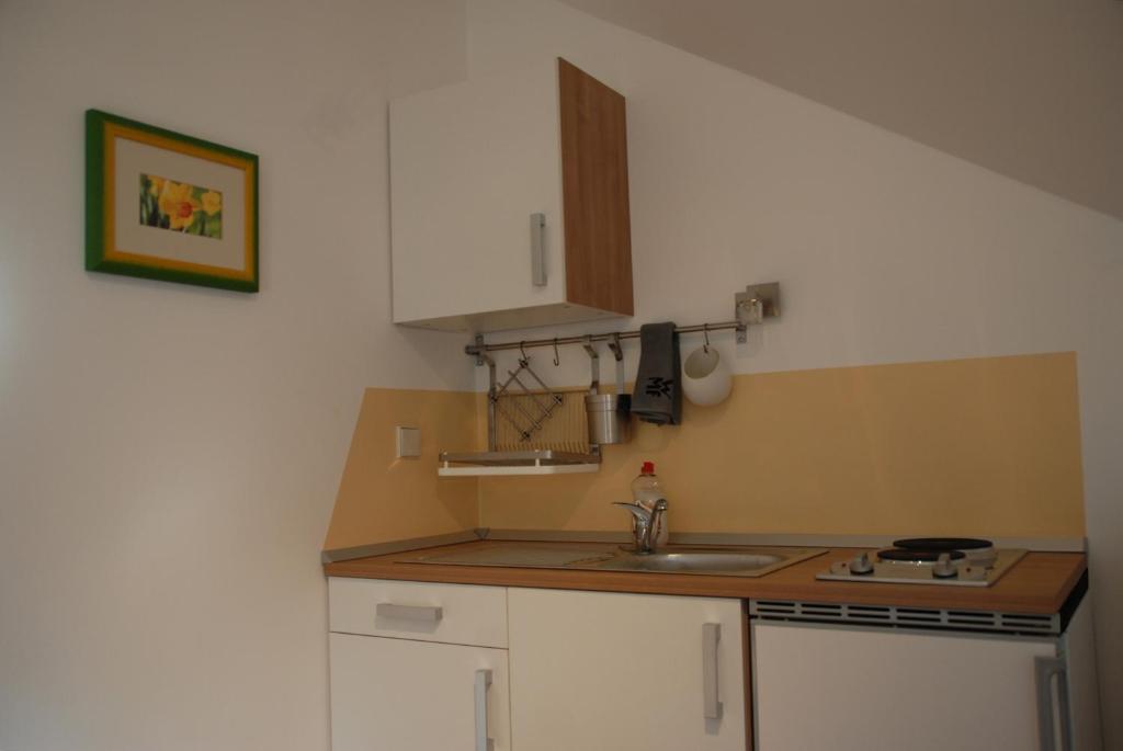 Kuchyň nebo kuchyňský kout v ubytování Oriana Studios
