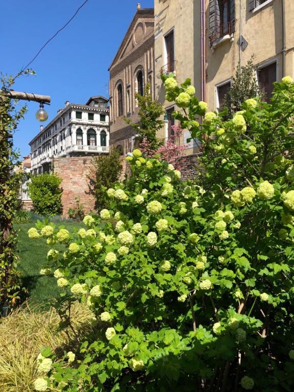 Madama Garden Retreat - Resim 26