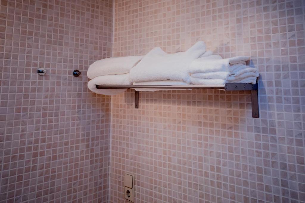 Fotografie z fotogalerie ubytování Apartaments Ashome v destinaci Canillo