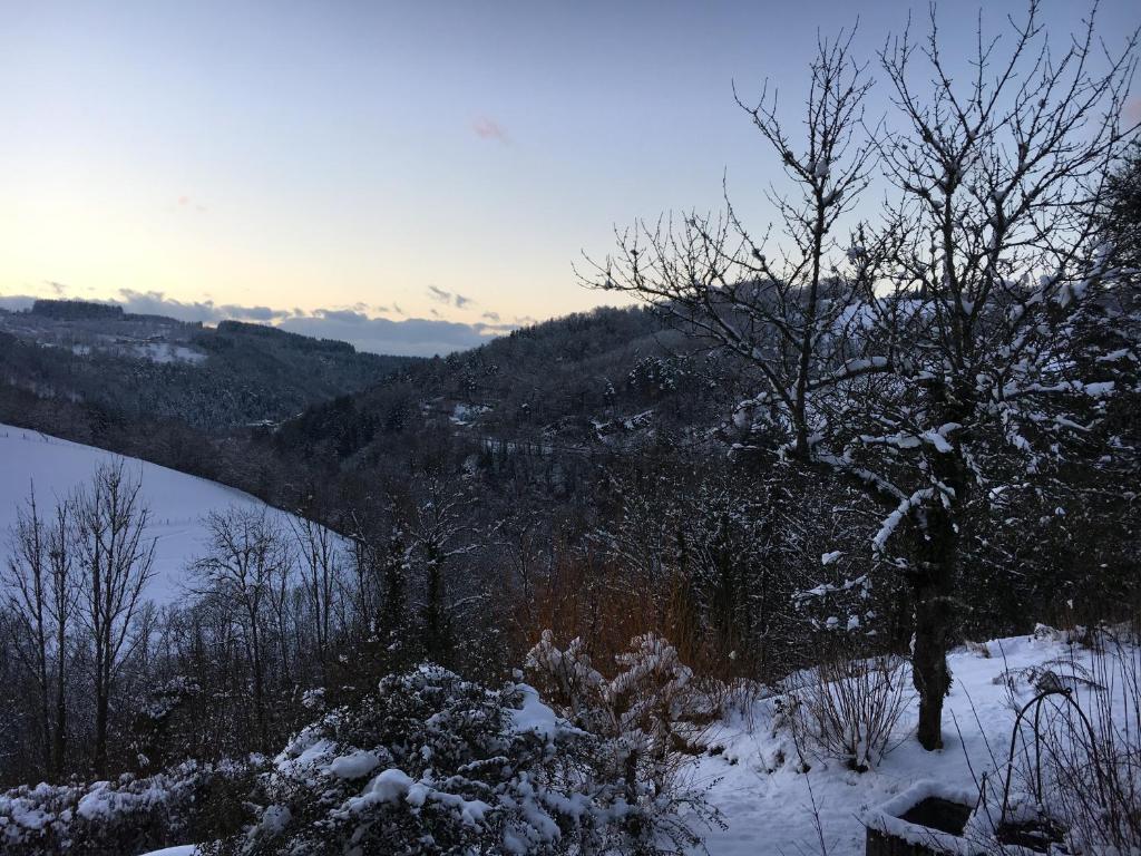 Le Coteau d'Olliergues - Habitación Doble