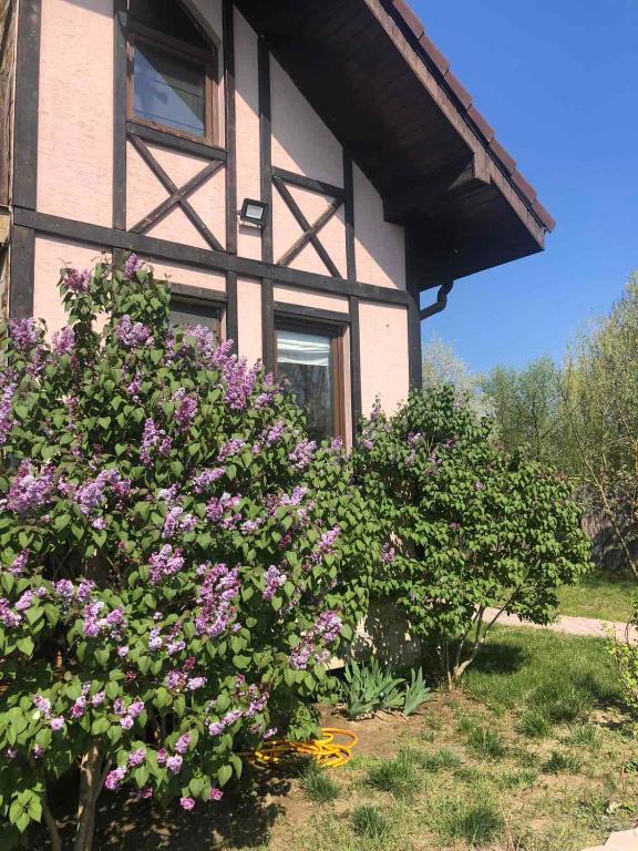 Zahrada ubytování Guest House on Lesnaya
