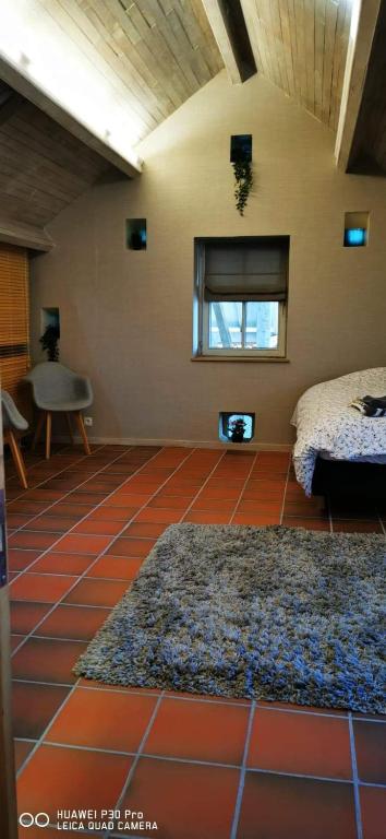Posezení v ubytování Le Durbuy Lodge