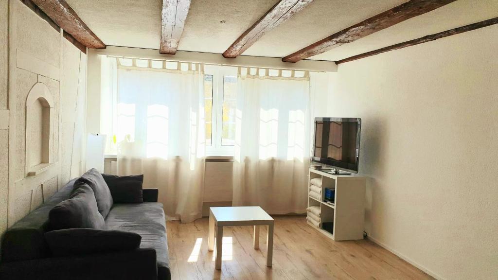 a living room with a couch and a tv at Cozy apartment close to Zurich Airport and City in Oberglatt