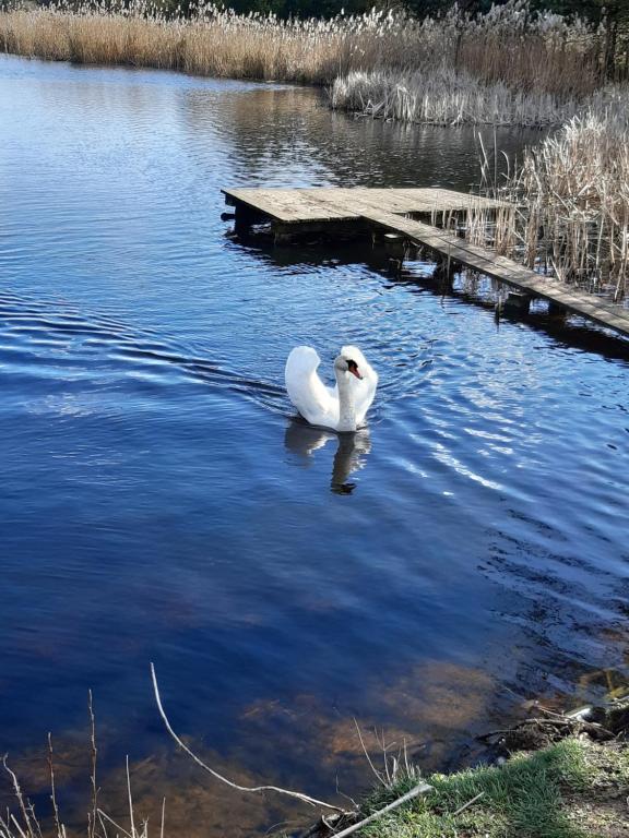 Príroda v okolí horskej chaty