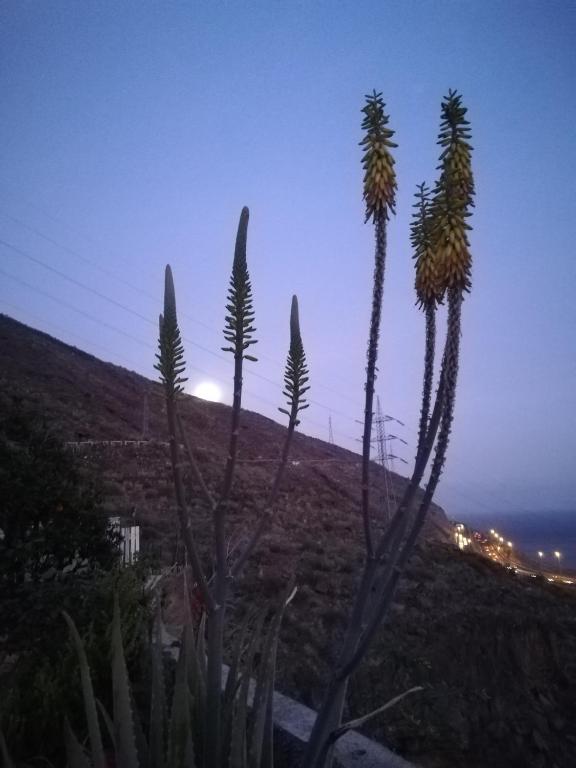 Fotografia z galérie ubytovania La Casita de Estrella v destinácii Candelaria