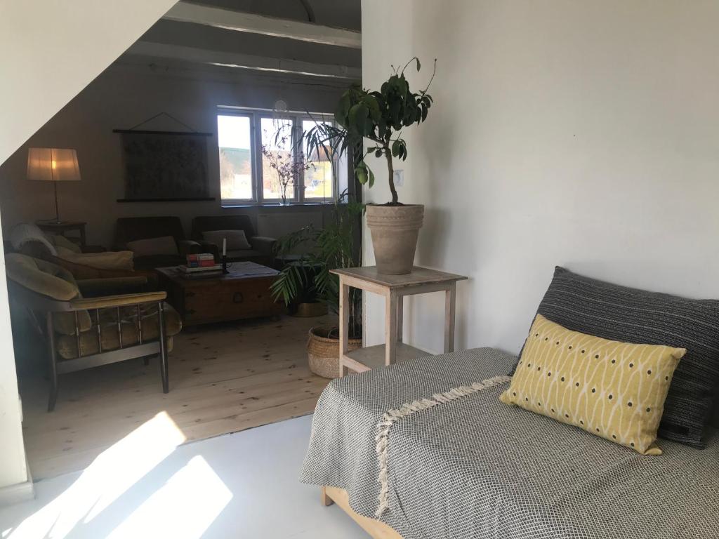 Istumisnurk majutusasutuses Botanikerns hus