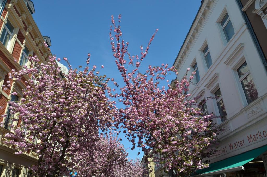 Hotel Aigner - Resim 13