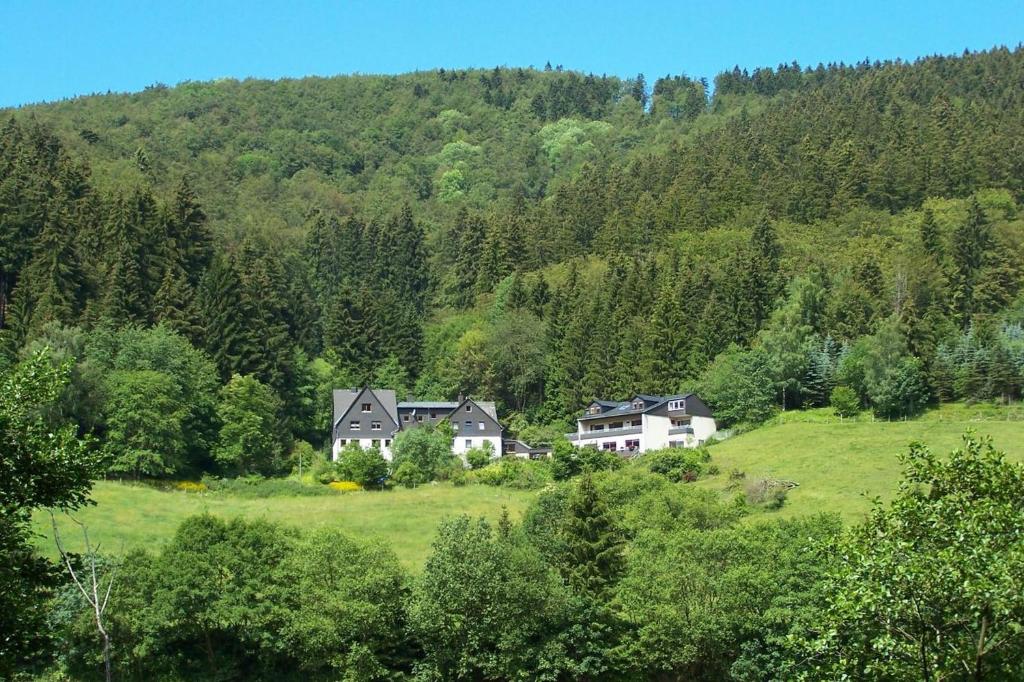 Landhotel Baumwipfel Willingen, Juni 2021