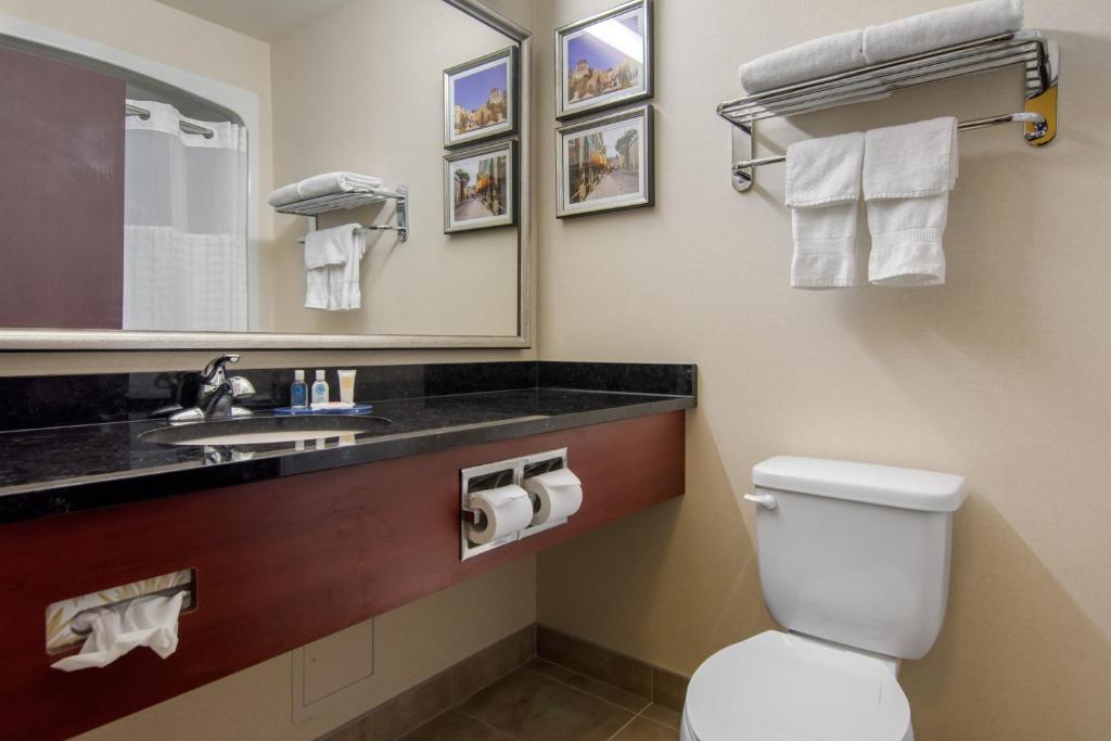 Comfort Inn & Suites - King Suite - Non-fumeur