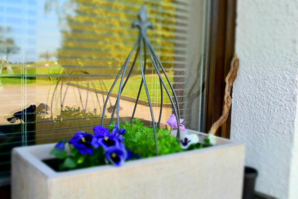 Ferienwohnung Jüdel mit Saunanutzung - Apartamento - Nivel Dividido