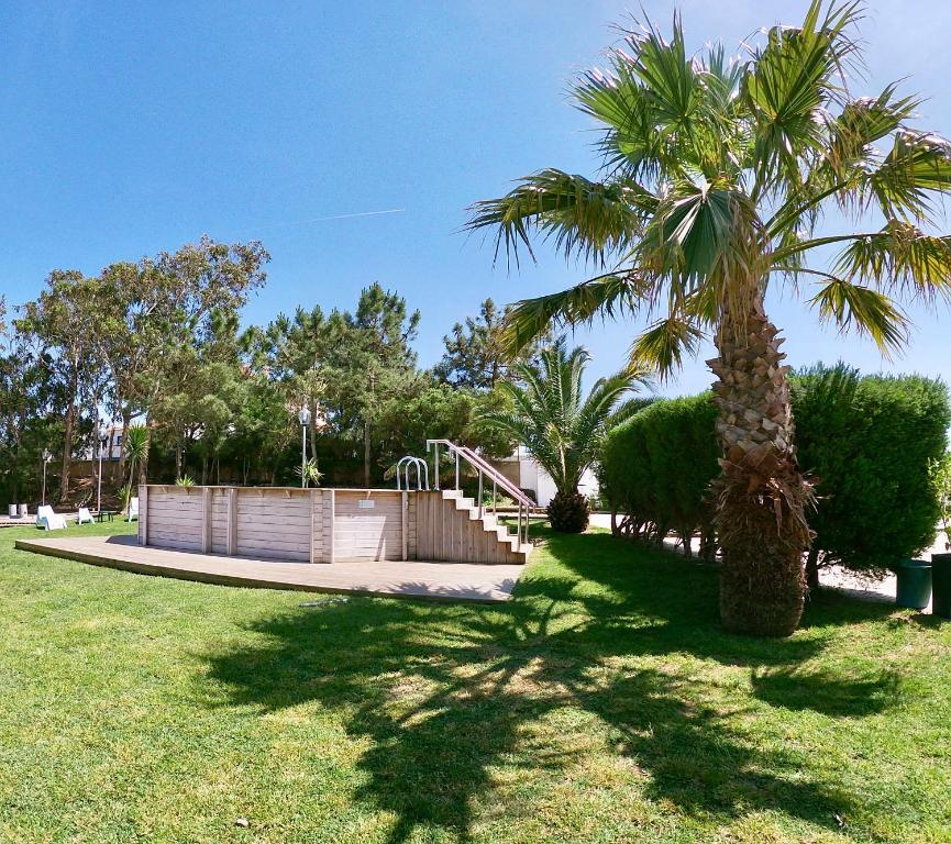 a palm tree in a park with a staircase at Golden Halcyon - Ericeira Villas in Ericeira
