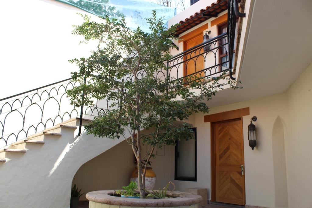 Balkón nebo terasa v ubytování Hotel Lindo Ajijic Bed & Breakfast