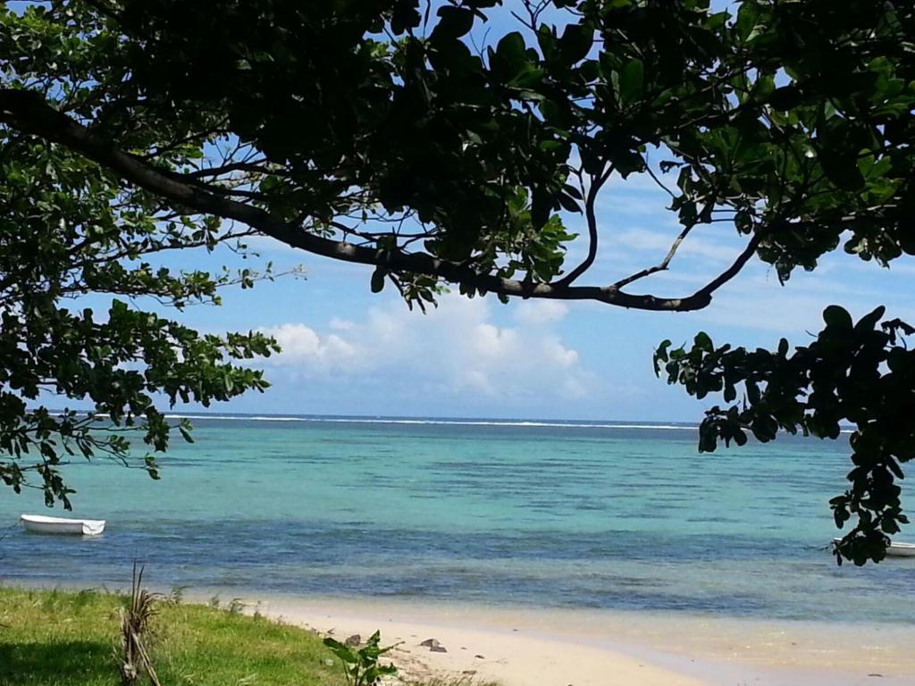 Φυσικό τοπίο κοντά σε αυτό το διαμέρισμα